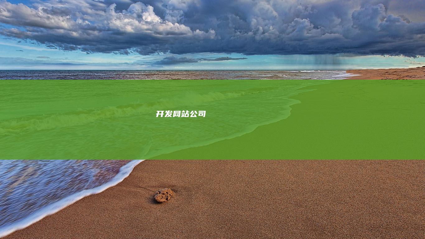 开发网站公司