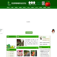 草莓苗|红颜草莓苗|四川草莓苗|草莓苗售卖|黄龙溪百安草莓种植专业合作社