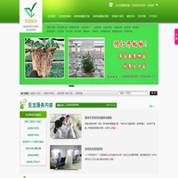 济南亚龙生物科技有限公司-组培系统|组培技术|组培设备|组培|草莓种苗|无菌杯|生姜