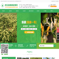 树形金银花苗_河南_封丘金银花苗出售_封丘县绿康金银花