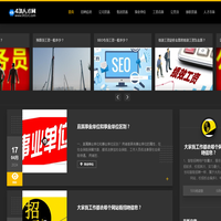431人才网