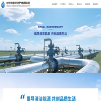 台州市城市天然气有限公司