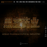 养熊_制药厂_医药研究所_包装研究所_黑宝大药房_黑宝土特产品_黑宝熊乐园