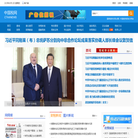 中国税网