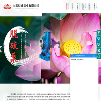 液下泵,循环泵厂家,潜水排沙泵-山东辰威泵业