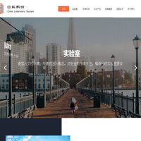 中实系统