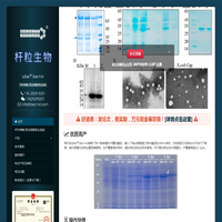 杆状病毒表达系统::昆虫细胞表达系统 @ Bacmid
