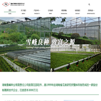 雪峰种业-专注于优质瓜类品种的育种公司